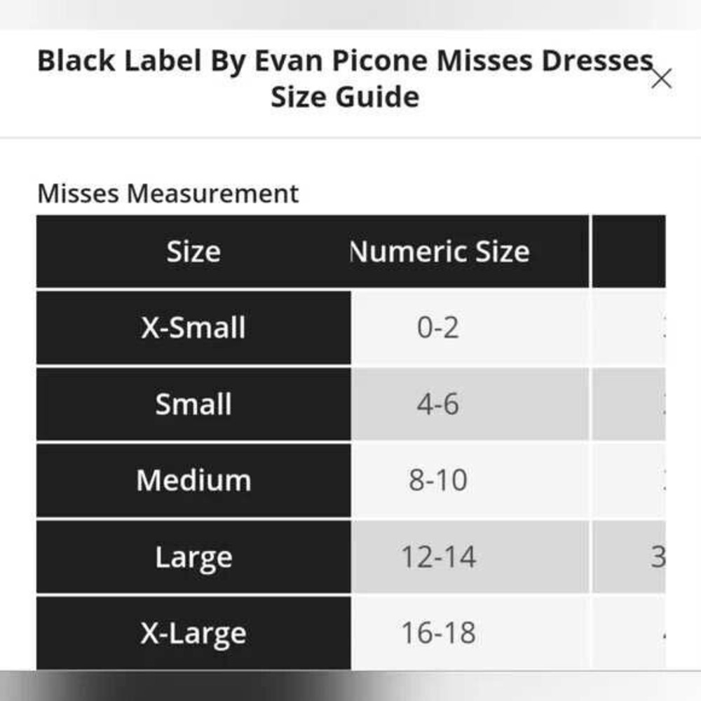 Black Label by Evan Picone  Sheath Dress Black Career  Classic Cocktail  XL NWOT - Picture 12 of 12